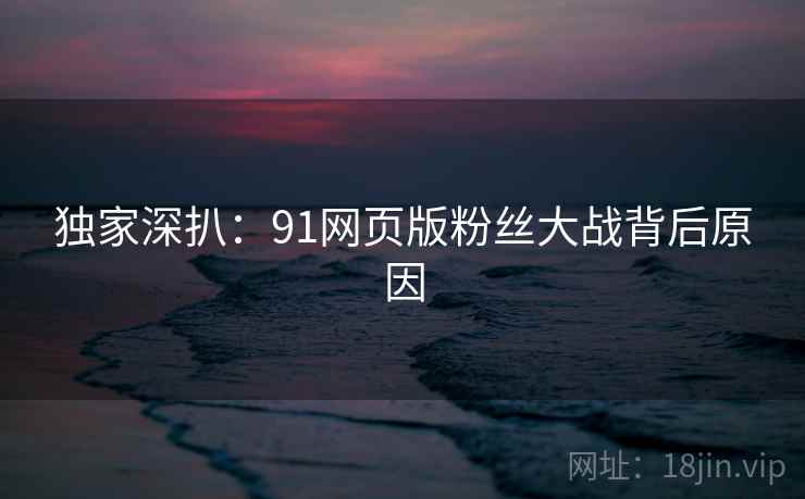 独家深扒：91网页版粉丝大战背后原因